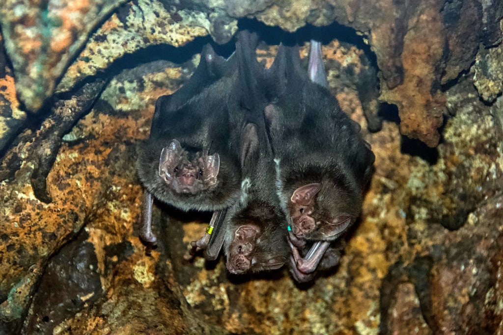 Hangin’ out