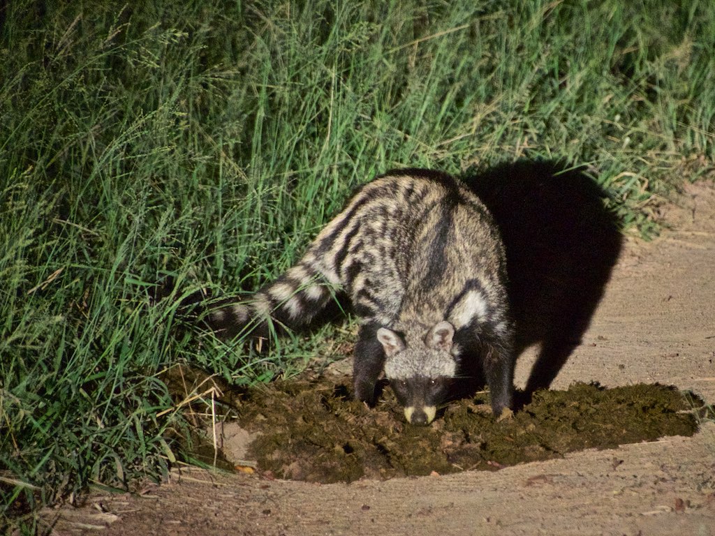 500_3741